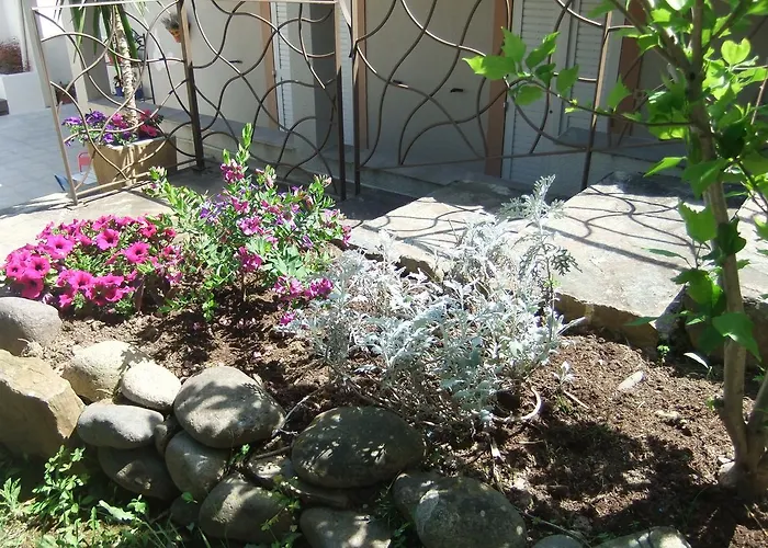 Restaurant U.pozzu 2* Sisco